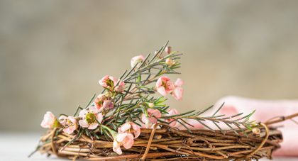 Le dimanche des Rameaux est un jour de fête pour la communauté chrétienne. Il est célébré, comme son nom l’indique, le dernier dimanche avant Pâques et inaugure la Semaine Sainte. Le dimanche des Rameaux est un jour symbolique qui commémore l’entrée solennelle de Jésus au sein de la ville de Jérusalem. Selon les évangiles, Jésus avait prévu de réaliser son entrée pendant la période de fête de Pessa’h, la Pâque juive...
