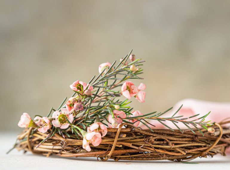 Le dimanche des Rameaux est un jour de fête pour la communauté chrétienne. Il est célébré, comme son nom l’indique, le dernier dimanche avant Pâques et inaugure la Semaine Sainte. Le dimanche des Rameaux est un jour symbolique qui commémore l’entrée solennelle de Jésus au sein de la ville de Jérusalem. Selon les évangiles, Jésus avait prévu de réaliser son entrée pendant la période de fête de Pessa’h, la Pâque juive...