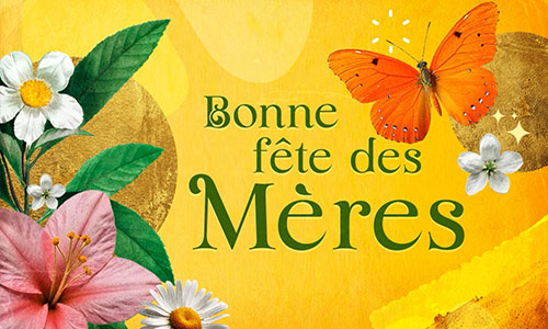 Cette image lumineuse et colorée célèbre la fête des mères avec tendresse et élégance. Sur un fond jaune doré aux textures artistiques, l'inscription « Bonne fête des Mères » apparaît au centre en lettres vertes raffinées. De délicates fleurs blanches et roses entourent le texte, tandis qu'un magnifique papillon orange apporte une touche de douceur et de poésie à l'ensemble.