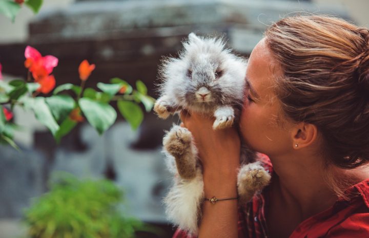 Une femme embrasse tendrement un petit lapin gris dans un jardin fleuri, illustrant la complicité et l’affection qui unissent les humains à leurs animaux. Cette scène pleine de douceur célèbre l’amour des animaux, leur place dans notre quotidien et le lien précieux que nous partageons avec eux. Une image idéale pour illustrer la Journée mondiale des animaux et sensibiliser au respect et au bien-être animal.
